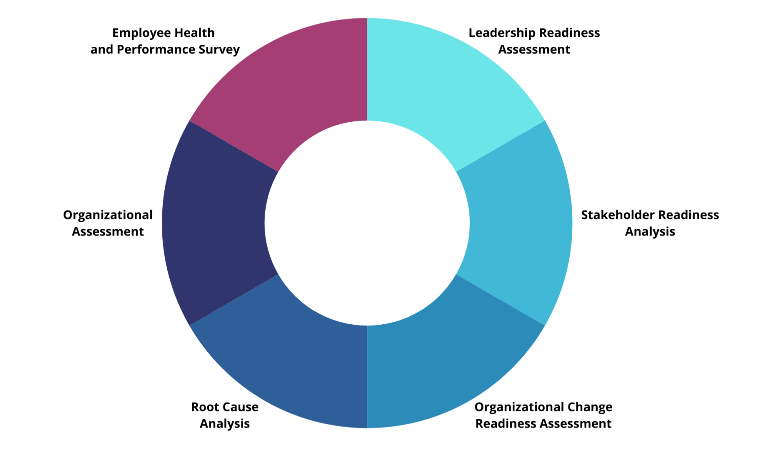 Workplace Health and Performance Assessment