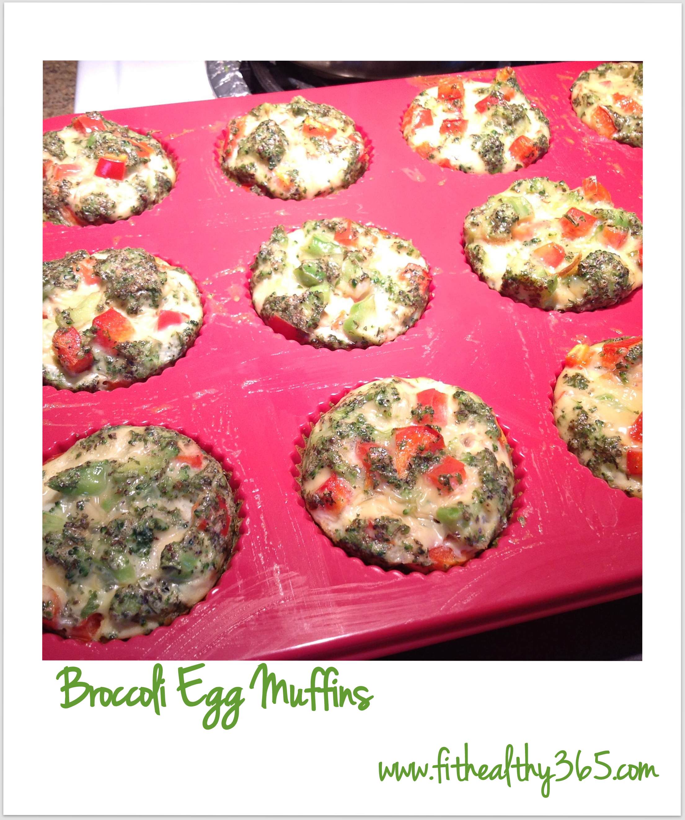 Broccoli Egg Muffins | Fit + Healthy 365