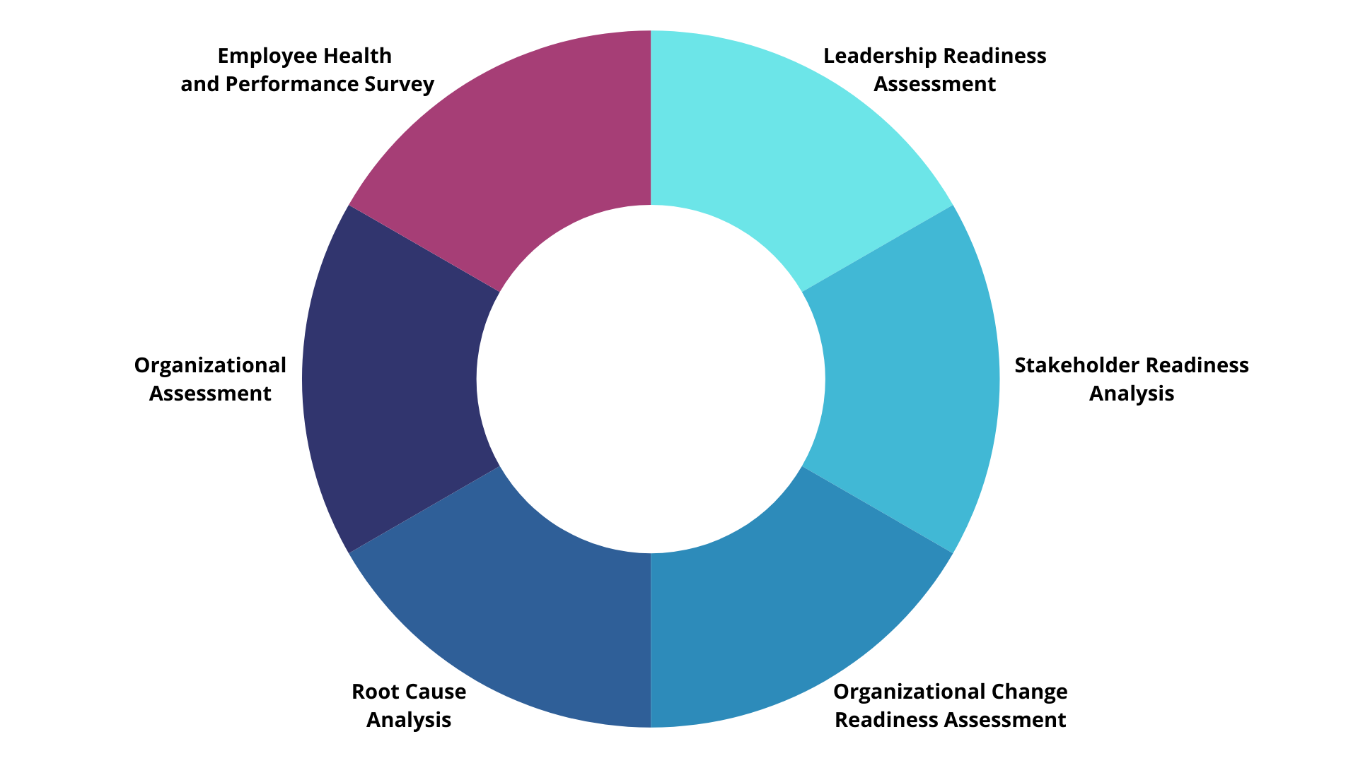 Workplace Health and Performance Assessment